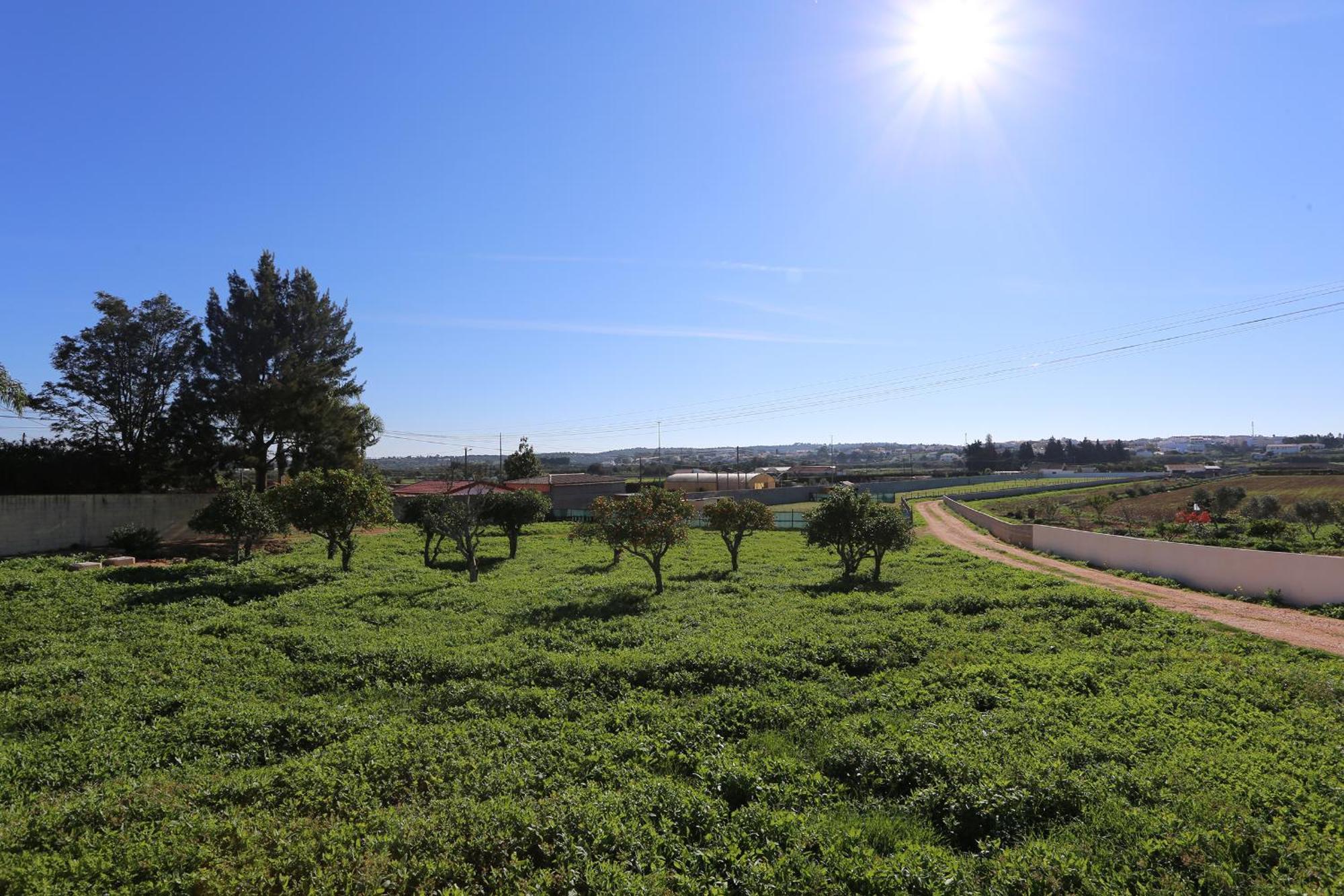 OdiáxereQuinta Da Ponte公寓 外观 照片